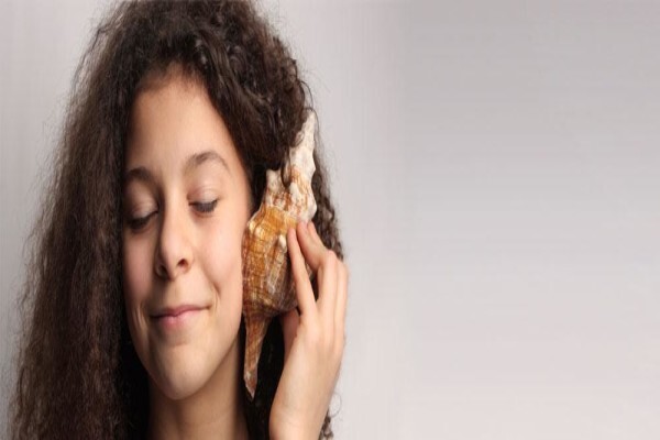 Berard Auditory Integration Training