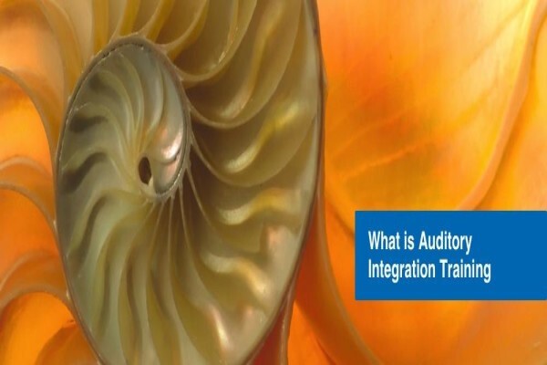 Berard Auditory Integration Training