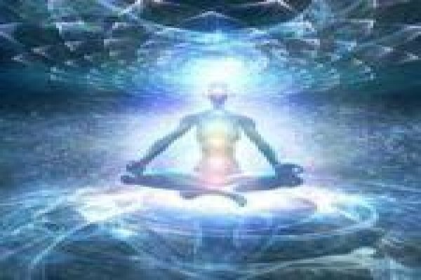 The Holistic Oak Wellness Center