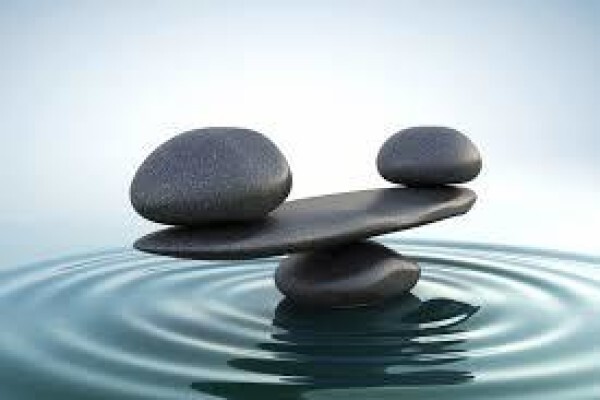 The Holistic Oak Wellness Center