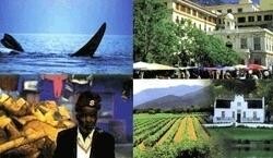 Noble Travel & Tours