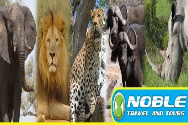 Noble Travel & Tours