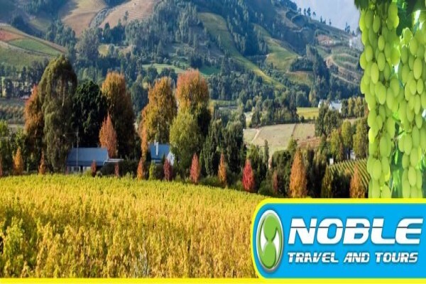 Noble Travel & Tours