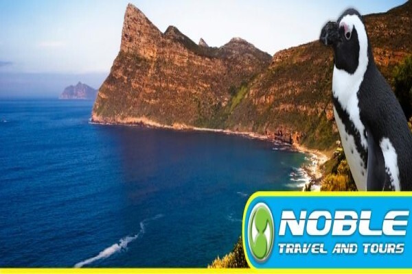 Noble Travel & Tours