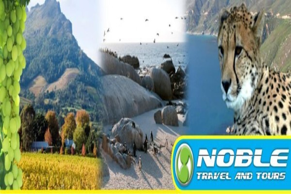 Noble Travel & Tours