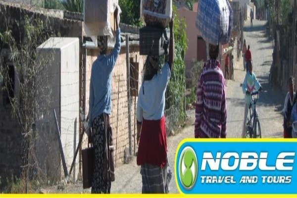 Noble Travel & Tours