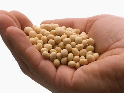 Soya Food Online