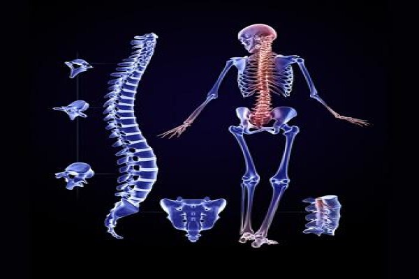 Dr Phill Rodda Chiropractor