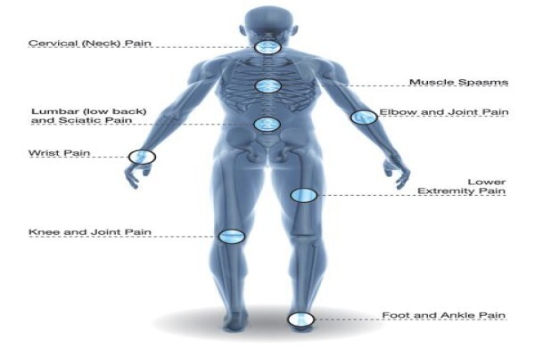 Dr Robert Delgado (Atlantic Chiropractic)