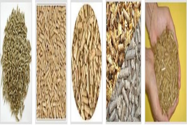 Soya Food Online