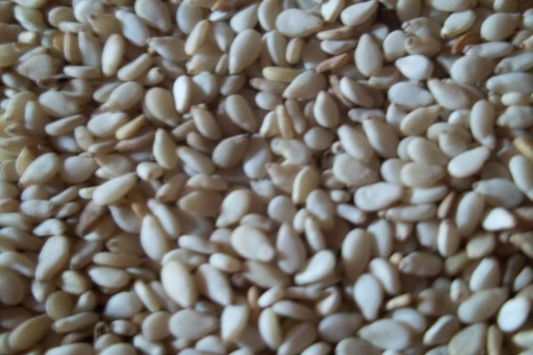Soya Food Online