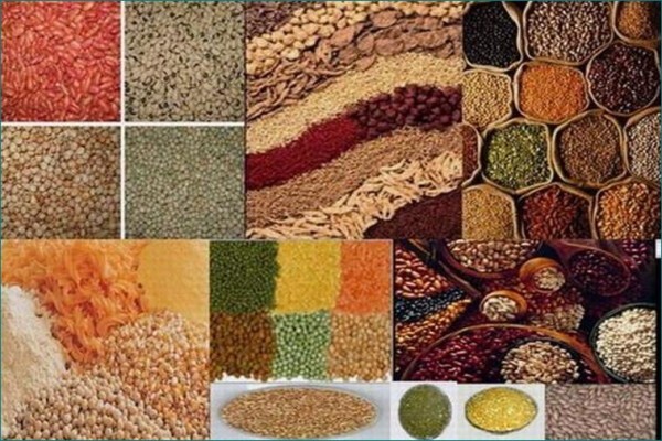 Soya Food Online