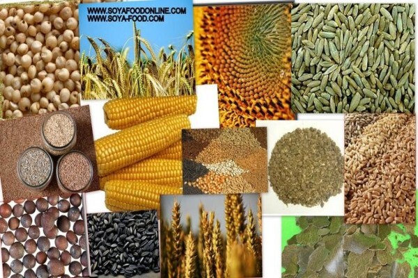 Soya Food Online