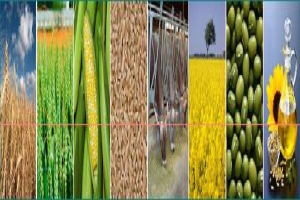 Soya Food Online