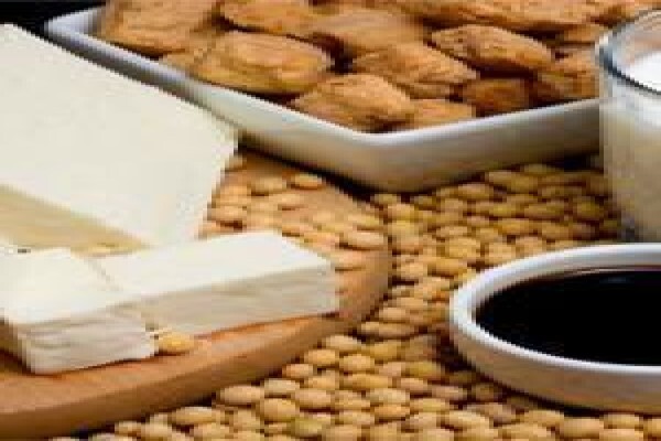 Soya Food Sa