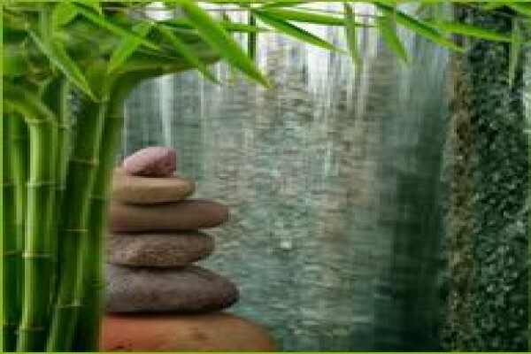 Going Green Acupuncture