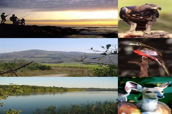 Zululand Homes For The Aged