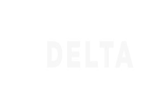 Delta Group