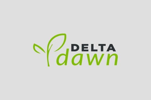 Delta Group