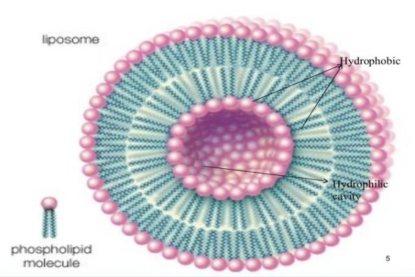 Ozone Health