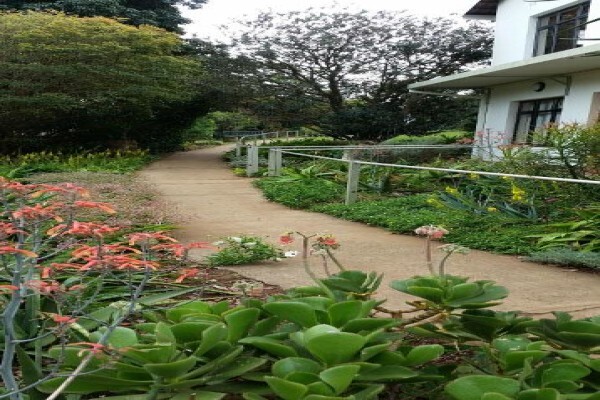 Zululand Homes For The Aged