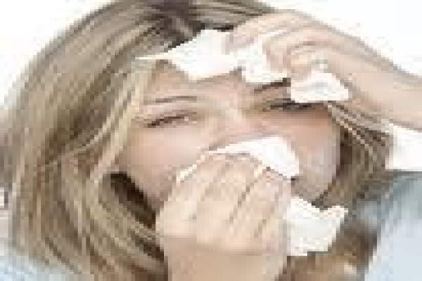 Bed Bug Busters