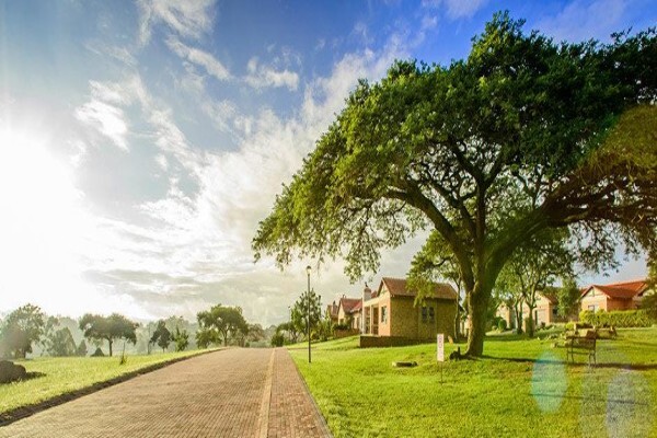 Bateleur Estate