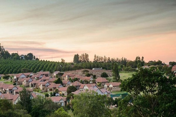 Bateleur Estate