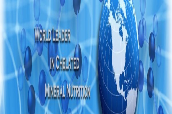 International Nutrition And Sport S A (Pty) Ltd