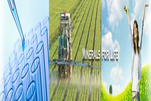 International Nutrition And Sport S A (Pty) Ltd