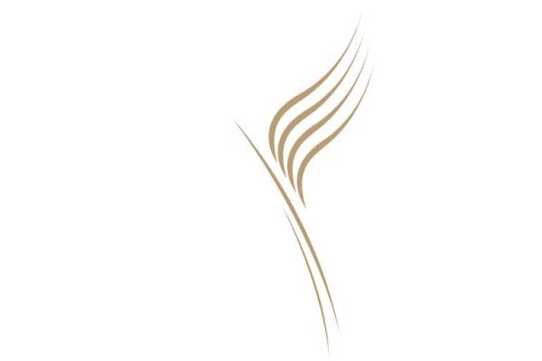 Elite Jet (Pty) Ltd