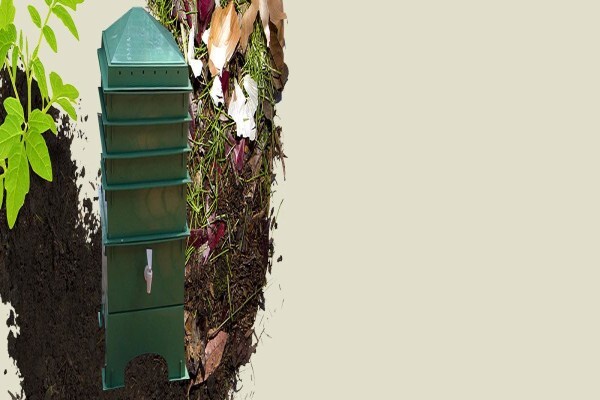 Soilsouls Earthworms