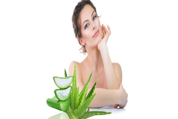 Aloe Vera Westcoast