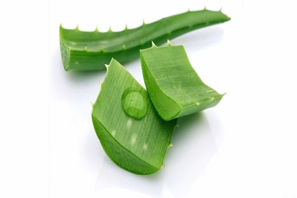 Aloe Vera Westcoast