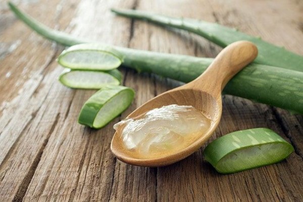 Aloe Vera Westcoast