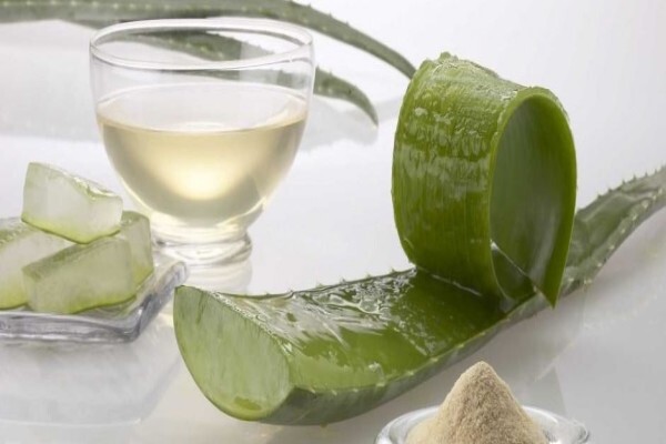 Aloe Vera Westcoast