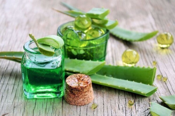 Aloe Vera Westcoast