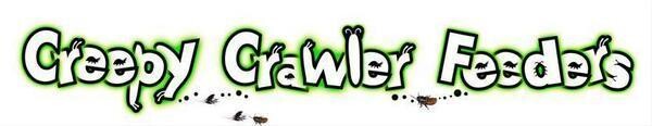 Creepy Crawler Feeders