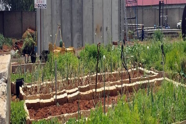 Biogas