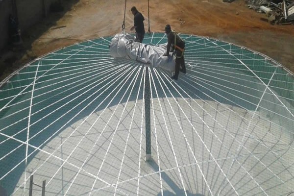 Biogas