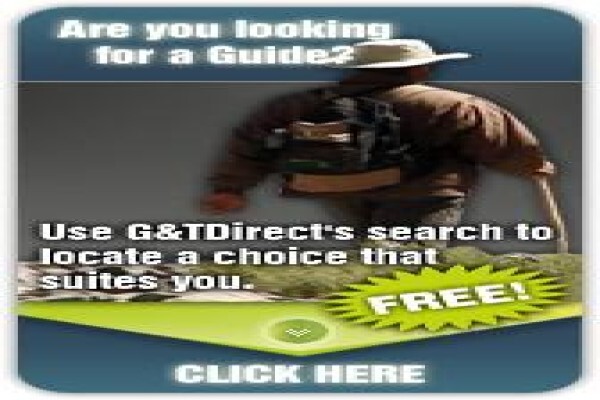 Guides And Trackers