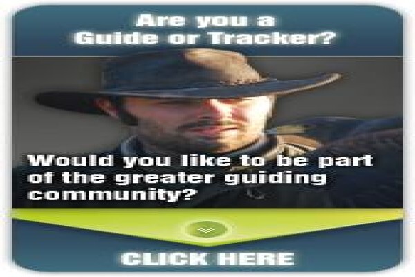 Guides And Trackers