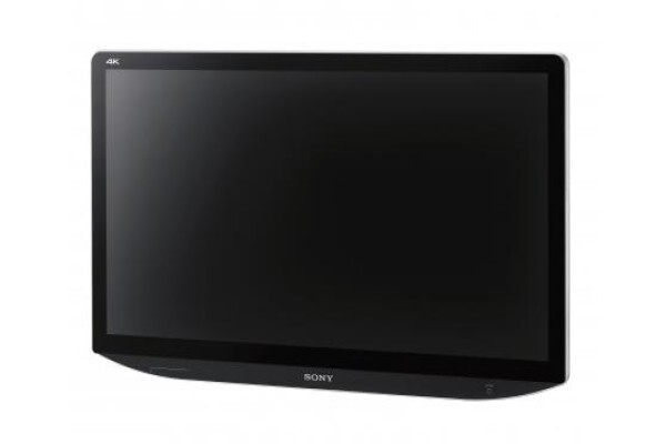 Prosonic Electronics