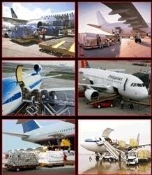 Trans Airfreight