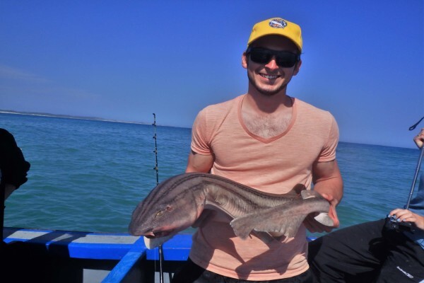 White Shark Diving Company