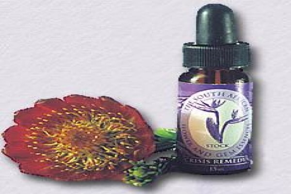 Sa Flower Essences