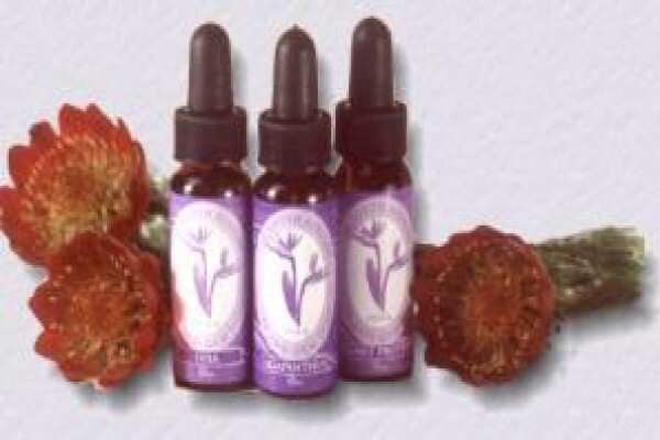 Sa Flower Essences