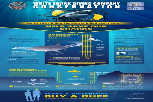 White Shark Diving Company