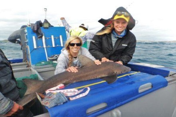 White Shark Diving Company