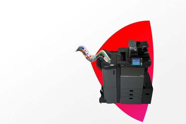 Toshiba South Africa